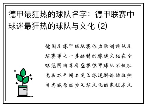 德甲最狂热的球队名字：德甲联赛中球迷最狂热的球队与文化 (2)